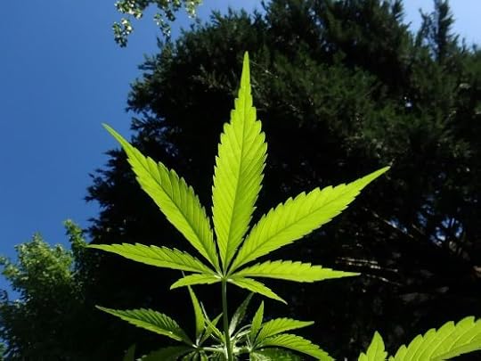 Know about cannabis dosage