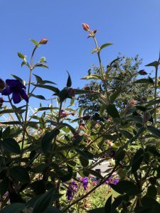 elul mussar practice