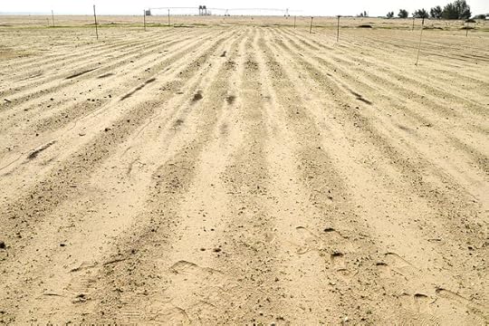 The Climate Crisis Is Coming for Your Food
