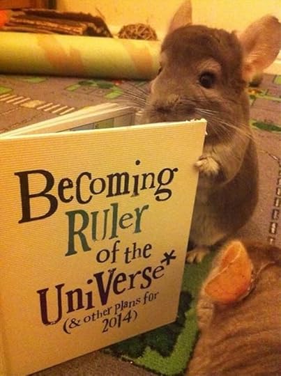 Image result for reading animals funny