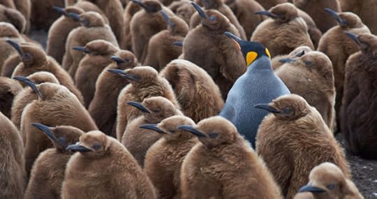 recruiters overlook