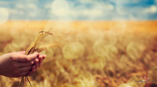 The God of Wonders delights in us and gives us a way to walk out of shame.We can claim our child-of-God identity and live in the fullness of His love and grace.