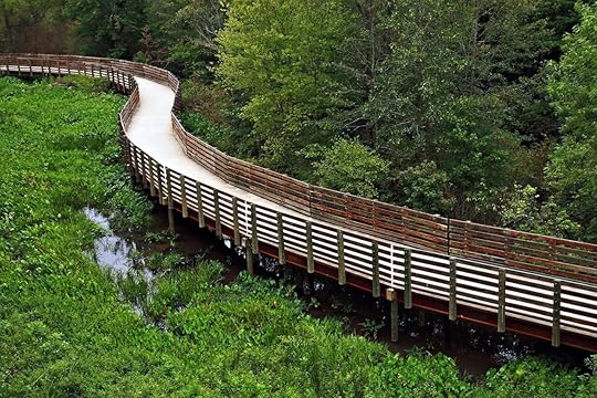 Wooden path across marsh on the Silver Comet Trail