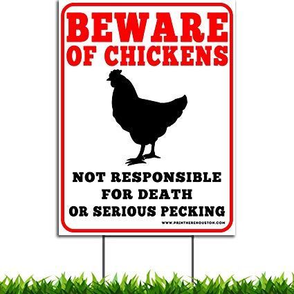 pecked to death by chicken - Google zoeken