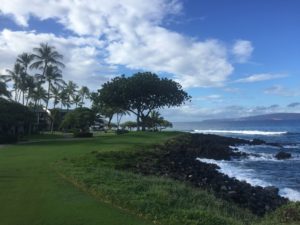 aloha
