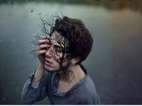 Screenshot-2019-09-23-11-33-35-1