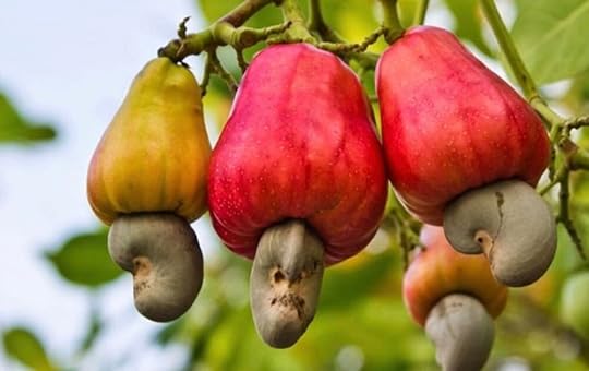 cashews.jpeg