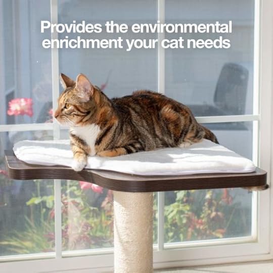 pet-fusion-window-perch