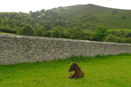 The pony on O'er Hill
