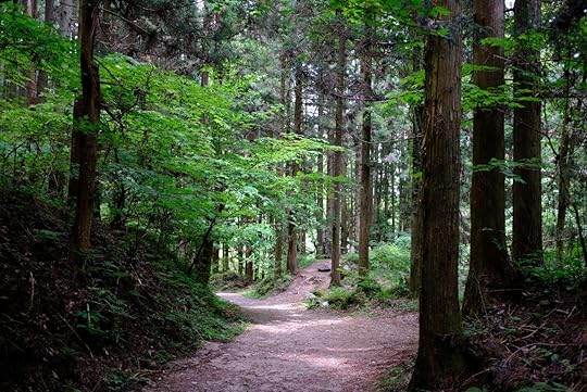 A walking path on the famous Nakasendo trail