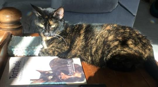 tortitude-book