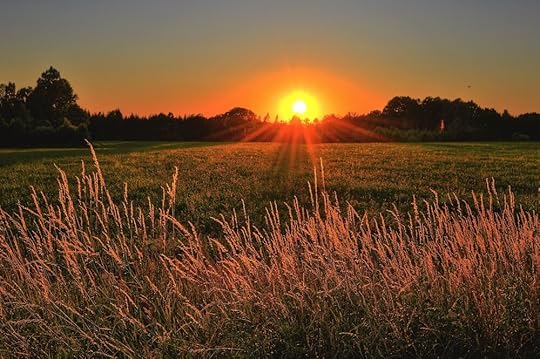 beautiful-cropland-dawn-1237119.jpg