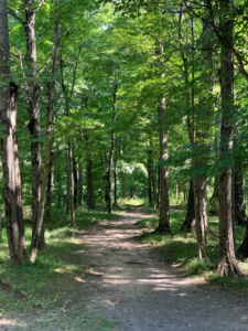 Mindfulness And Self-Care For The Overwhelmed by @MConnollyAuthor #SelfCare #Mindfulness #overwhelmed 