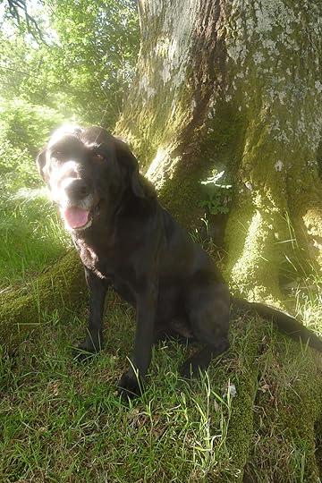 A smile full of leaves and sun