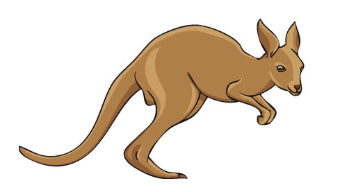 Bildergebnis für kangaroo gezeichnet