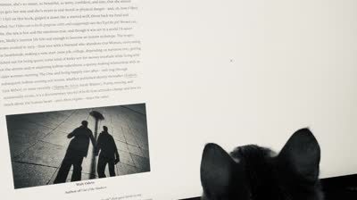 chase the cursor