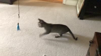 kill feather