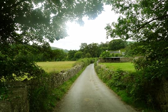 The lane to Chagford