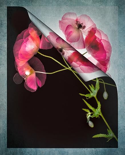 Dawn Chorus Unbound © Harold Davis