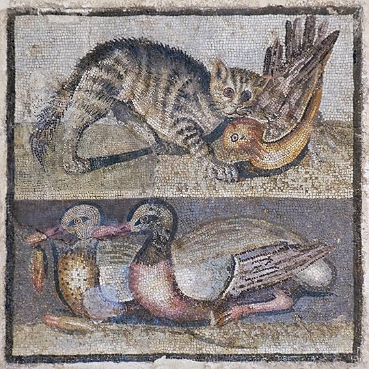 Mosaic of cats and ducks