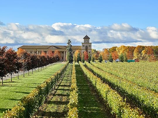 Two Sisters Vineyards