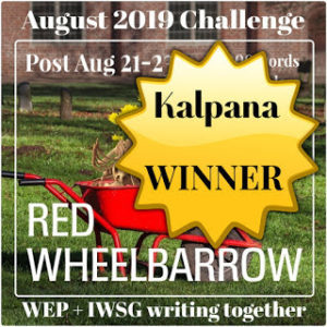 WEP August Winner