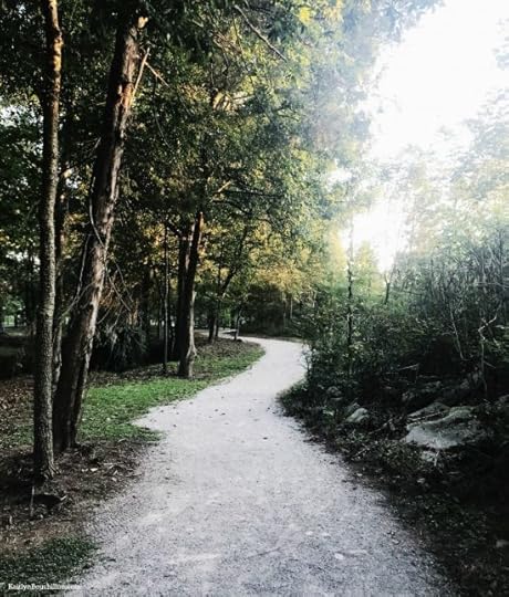 path through trees