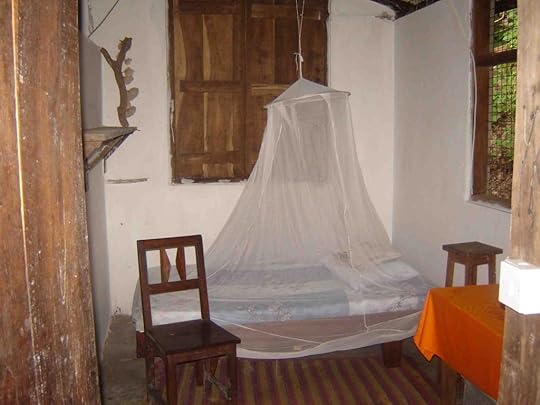Saving Wild image of Jane Goodall's bed