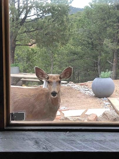 Lori Robinson communicates with Wild Deer