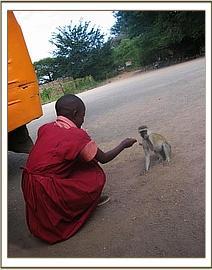 Saving Wild's bush school program