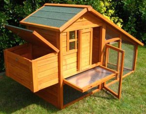 Fulfil chicken coop shopping expectations