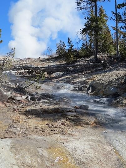 Steamboat Geyser runoff
