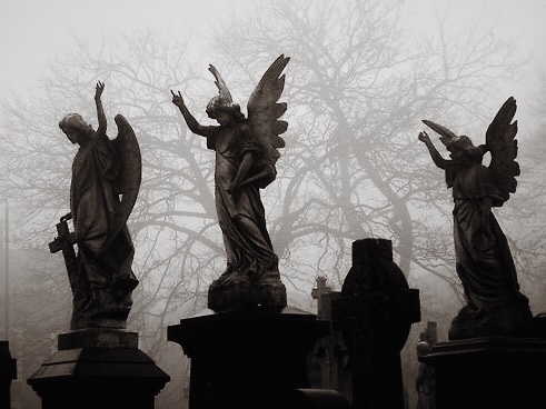 angel, aesthetic, and cemetery image