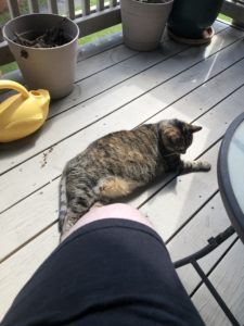 positivity in the moment