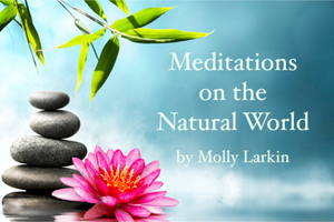 Are we waking up? Or falling asleep? Why meditation matters.