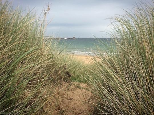 peering through the grasses to the sea