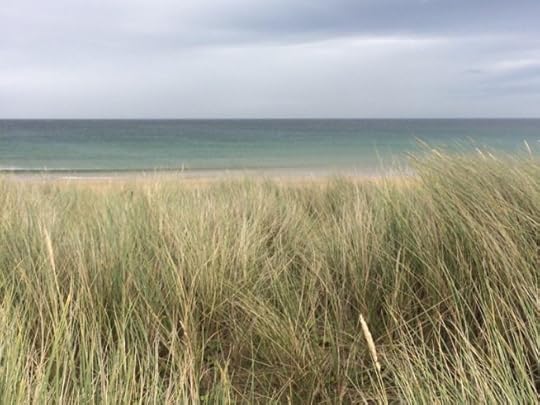 through the grasses to the sea