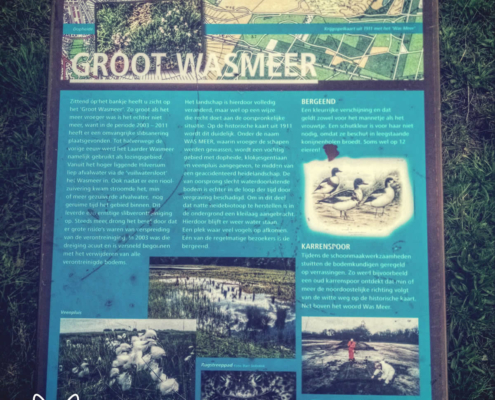 Groot Wasmeer - Zuiderheide - 002