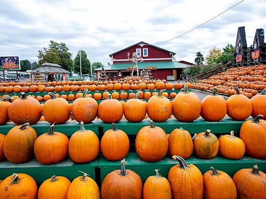 The Great Pumpkin Farm