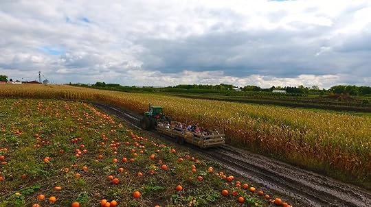 Siegel's Cottonwood Farm