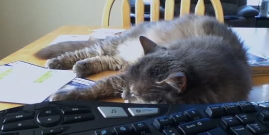 Image result for animals writing