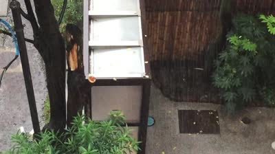 0822TyphoonHagibis