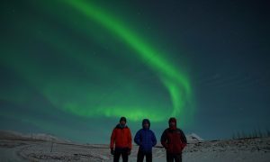 Live Aurora Network northern lights