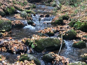 life is unpredictable