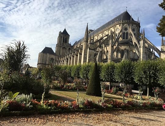  photo IMG_0891_zpskn95vfhy.jpg