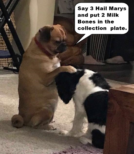 Politically Incorrect 10-17-19