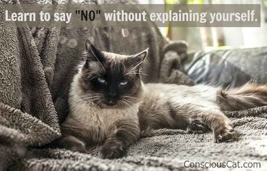 cat-resting