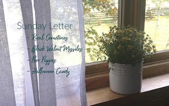 Sunday Letter