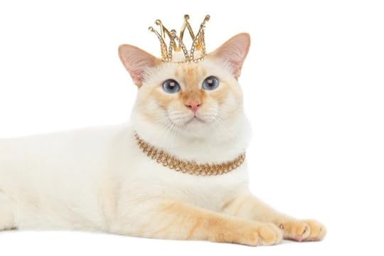 cat-crown-royalty