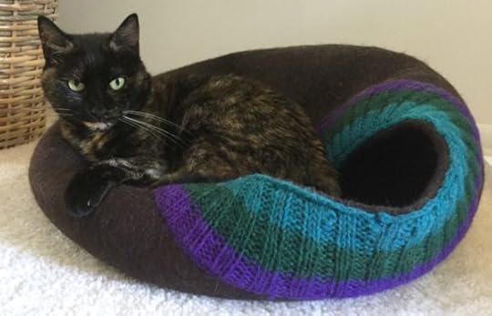 Ruby-The-Conscious-Cat